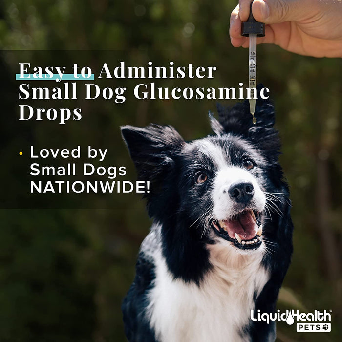 Small Dog Glucosamine Joint Formula